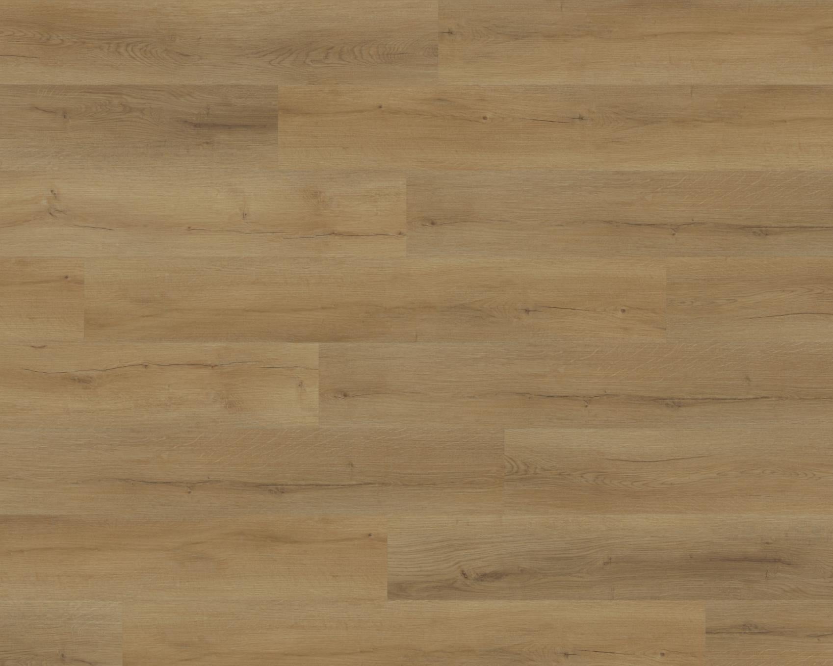 Barley Oak Plank SPC Flooring showing warm natural oak grain