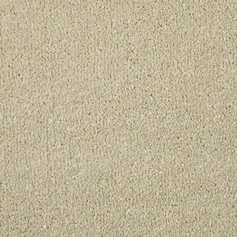Pale Angora