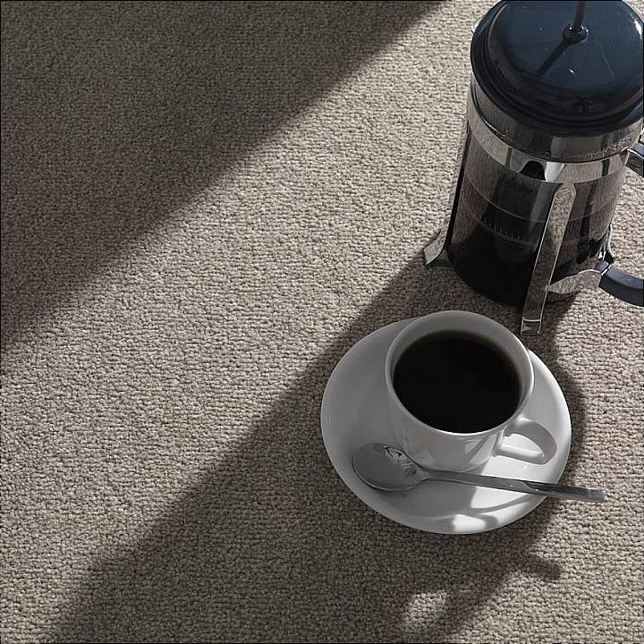 Stain-Less Distinctions Carpet