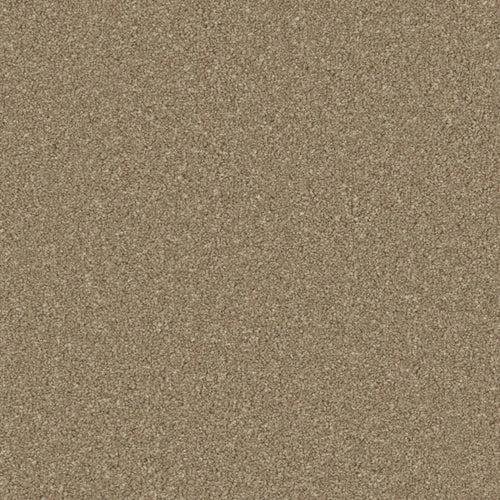 Dark Taupe