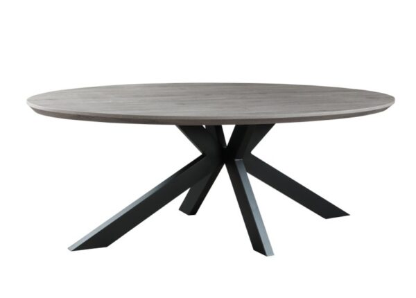 Manhattan Oval Dining Table Grey to buy online UK and Ireland delivery or visit The Urban Company Newry - angle profile